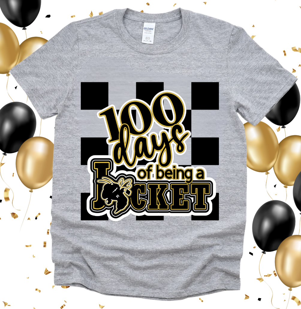 100 Days of being a Jacket (Pre-Sale...Pick-Up or Shipping Feb. 10th!)