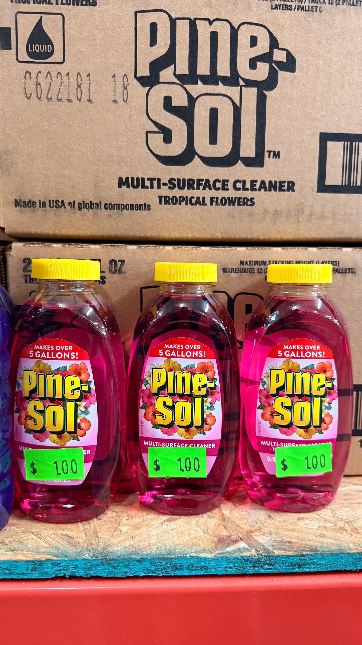 Pine-Sol 24 pack